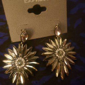 Express Faux Hematite and Rhinestone Earrings